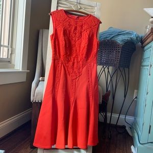 Orange knee length Tadashi Shohi Woman’s Lace and Stretch Dress